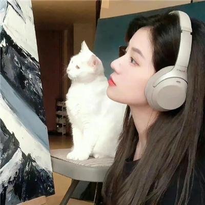 毛茸茸的狗